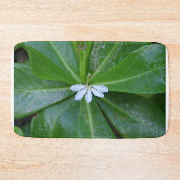 Item preview, Beach Naupaka Flowering on Sumilon Island, Philippines designed and sold by The Botanical Jason.