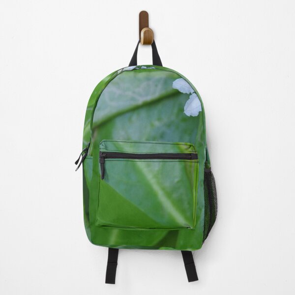 Item preview, Beach Naupaka Flowering on Sumilon Island, Philippines designed and sold by The Botanical Jason.