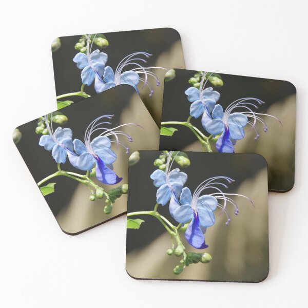 Item preview, Butterfly Clerodendrum Flowering at Denver Botanic Gardens designed and sold by The Botanical Jason.