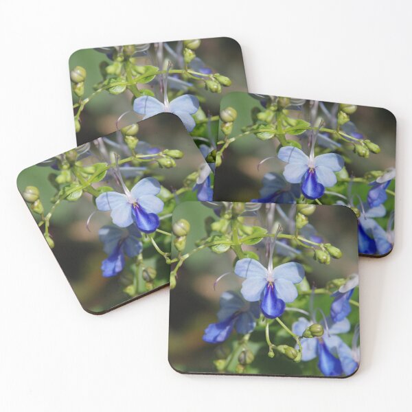 Item preview, Butterfly Clerodendrum Flowering at Denver Botanic Gardens designed and sold by The Botanical Jason.