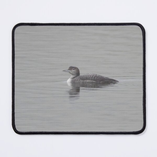 Item preview, Great Northern Diver designed and sold by LaurenTucker.