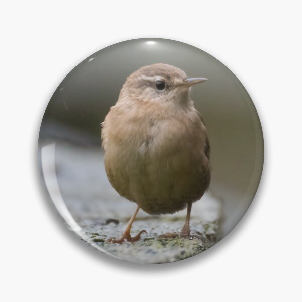 Item preview, Eurasian Wren designed and sold by LaurenTucker.