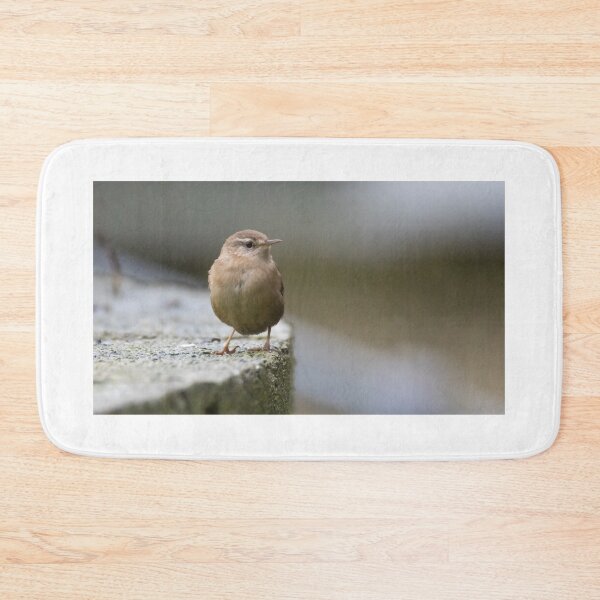 Item preview, Eurasian Wren designed and sold by LaurenTucker.
