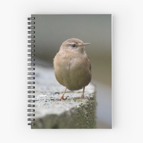 Item preview, Eurasian Wren designed and sold by LaurenTucker.