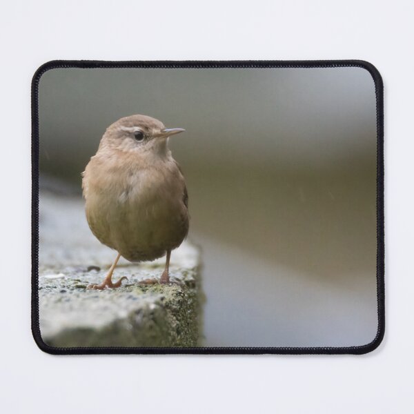 Item preview, Eurasian Wren designed and sold by LaurenTucker.