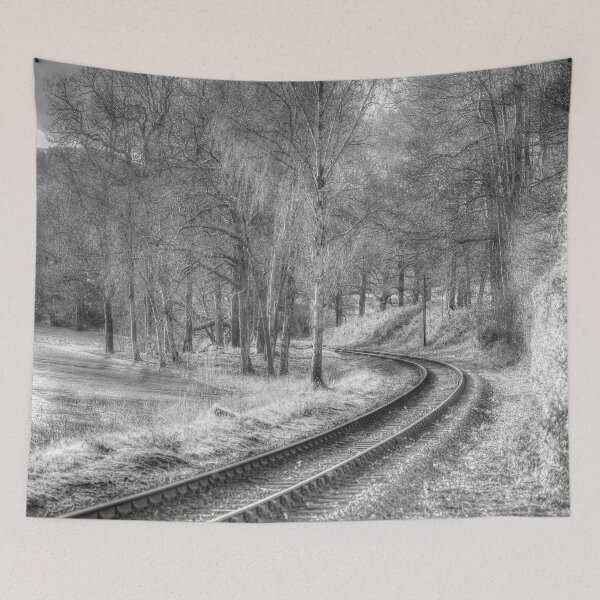 Item preview, Lake District Steam Rail Track  designed and sold by Londonimages.