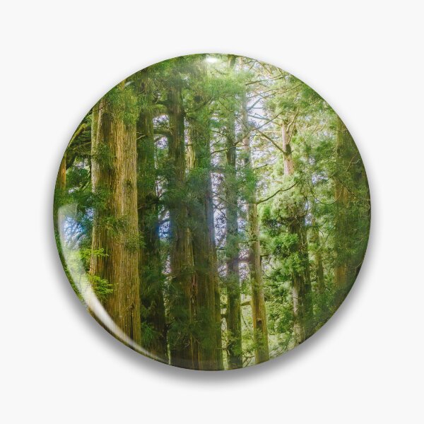 Item preview, Kyū-Tōkaidō: A 17th-Century Path Lined with Ancient Giants designed and sold by Pix4Japan.