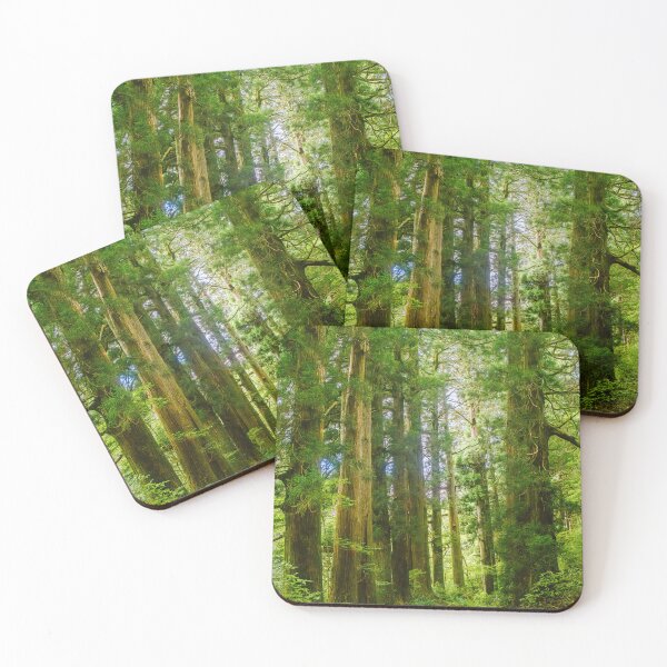Item preview, Kyū-Tōkaidō: A 17th-Century Path Lined with Ancient Giants designed and sold by Pix4Japan.