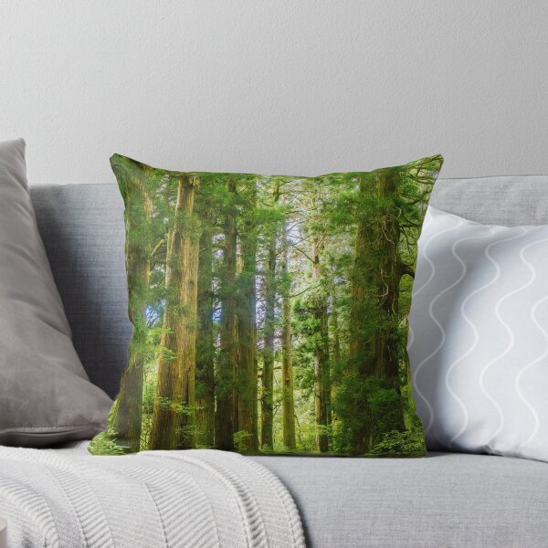 Item preview, Kyū-Tōkaidō: A 17th-Century Path Lined with Ancient Giants designed and sold by Pix4Japan.