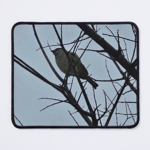 Item preview, Bird In A Tree designed and sold by SMILE by Kira.