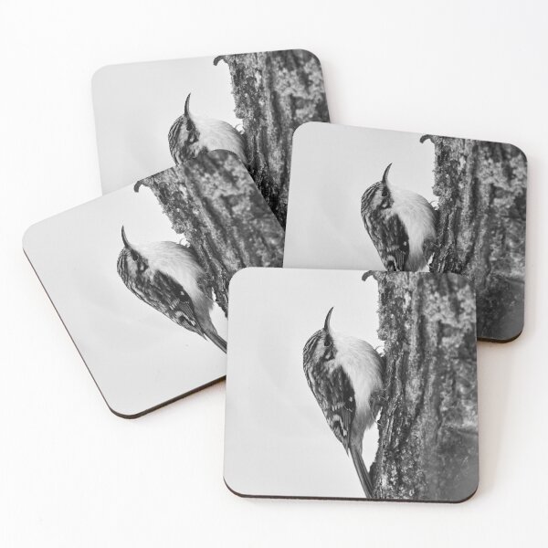 Item preview, Still for a short time. Eurasian treecreeper bw designed and sold by Jouko Lehto Photography.