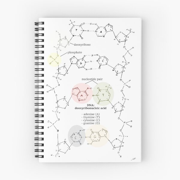 Item preview, DNA molecular structure designed and sold by paleoforaging.