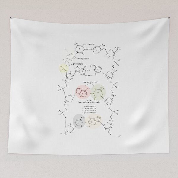 Item preview, DNA molecular structure designed and sold by paleoforaging.