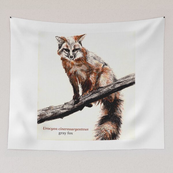 Item preview, Urocyon cinereoargenteus designed and sold by paleoforaging.