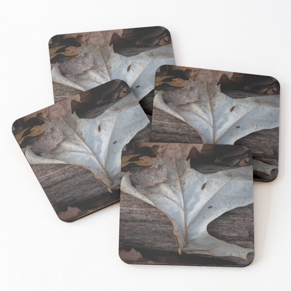 Item preview, Sundried Leaf designed and sold by Lauren1235.