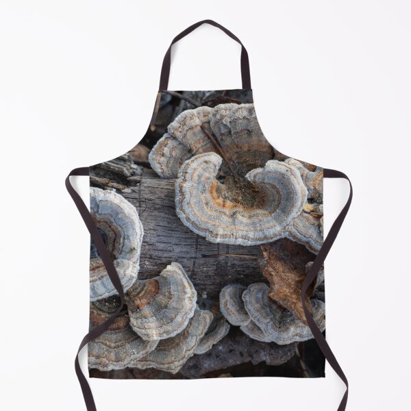 Item preview, Turkey Tail designed and sold by Lauren1235.