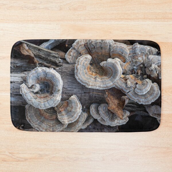 Item preview, Turkey Tail designed and sold by Lauren1235.
