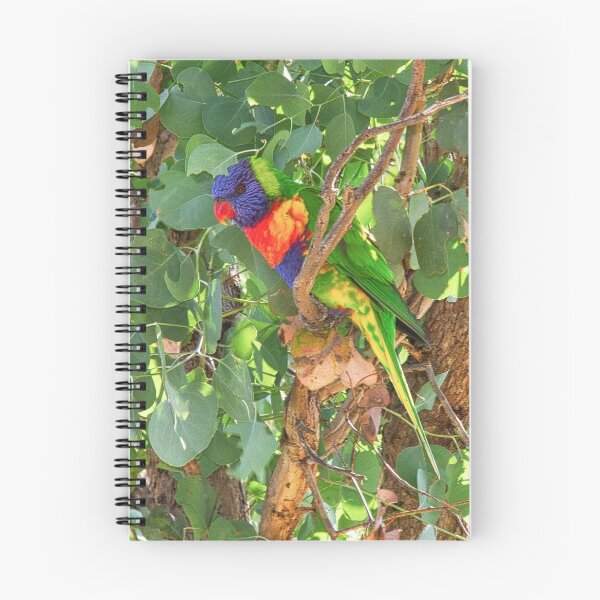 Item preview, Parrot Leith Park Victoria 20180301 2235 designed and sold by Fred Mitchell.