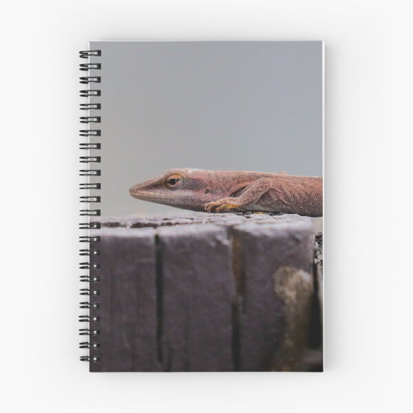 Item preview, Green Anole designed and sold by Parks and X.