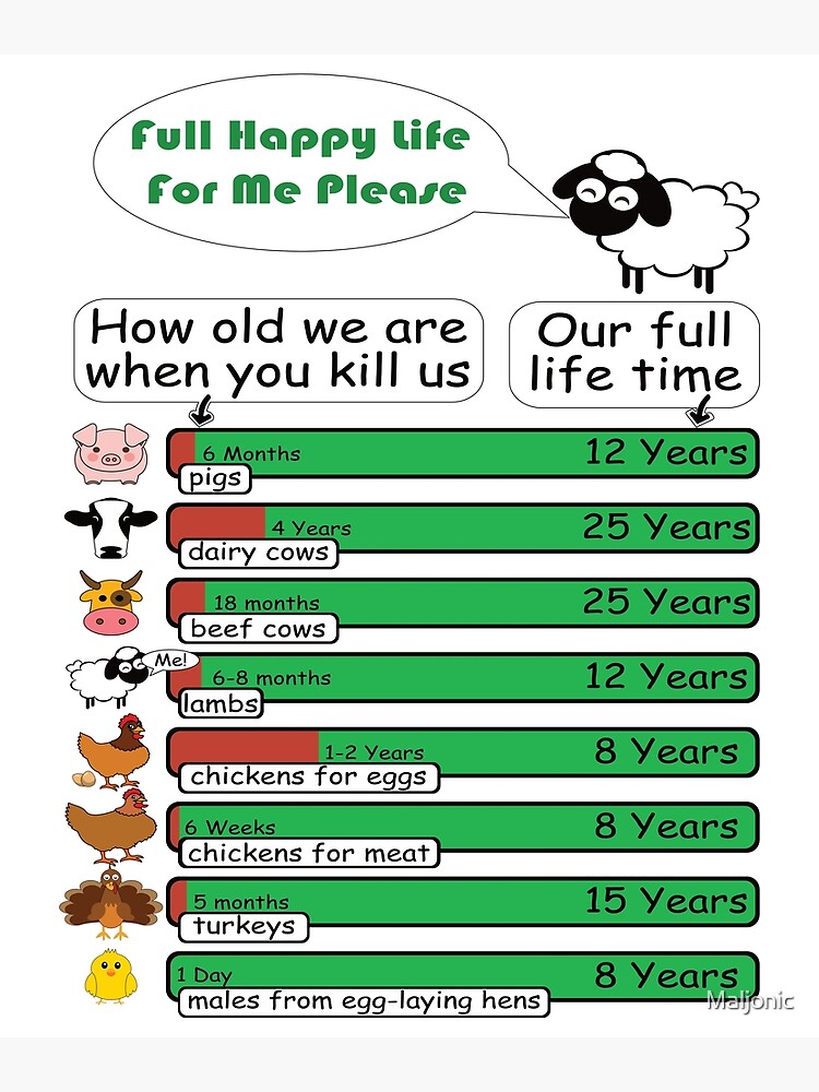 Carte De Vœux Tableau De Duree De Vie Pro Vegan Animal Welfare Pour La Journee Mondiale Du Vegetalien Par Maljonic Redbubble