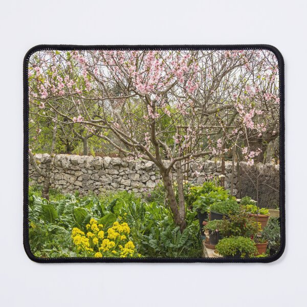 Item preview, Italy. Apulia. Alberobello. Garden in Spring. designed and sold by vadim19.