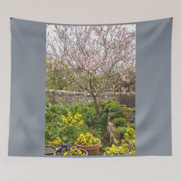 Item preview, Italy. Apulia. Alberobello. Garden in Spring.  designed and sold by vadim19.