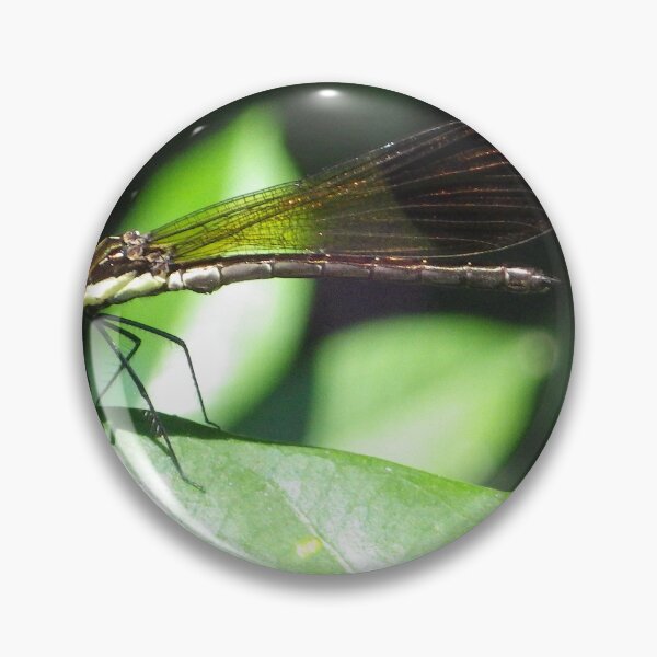 Item preview, Damselfly on a Leaf in Sapang Balas, Dinalupihan, Bataan, Philippines designed and sold by The Botanical Jason.