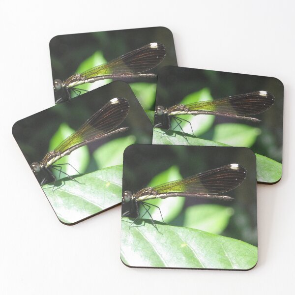 Item preview, Damselfly on a Leaf in Sapang Balas, Dinalupihan, Bataan, Philippines designed and sold by The Botanical Jason.