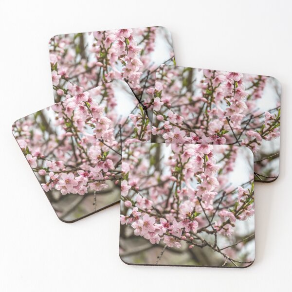 Item preview, Italy. Apulia. Alberobello. Spring. Blooming Tree.  designed and sold by vadim19.