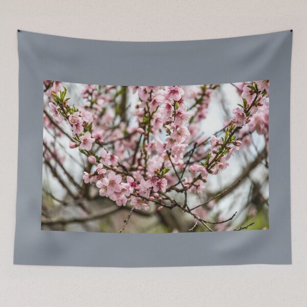 Item preview, Italy. Apulia. Alberobello. Spring. Blooming Tree.  designed and sold by vadim19.