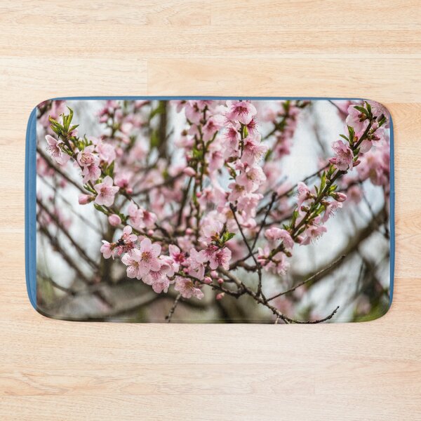 Item preview, Italy. Apulia. Alberobello. Spring. Blooming Tree.  designed and sold by vadim19.