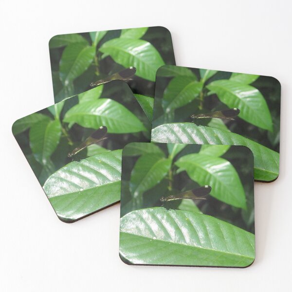 Item preview, Damselfly on a Leaf in Sapang Balas, Dinalupihan, Bataan, Philippines designed and sold by The Botanical Jason.