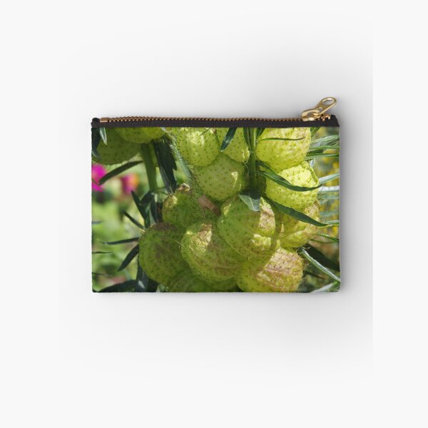 Item preview, Bishop's Balls Fruits Growing at Denver Botanic Garden designed and sold by The Botanical Jason.