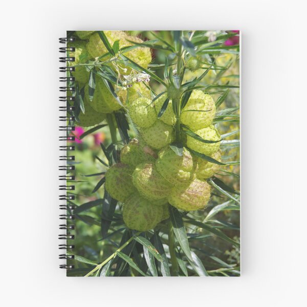 Item preview, Bishop's Balls Fruits Growing at Denver Botanic Garden designed and sold by The Botanical Jason.