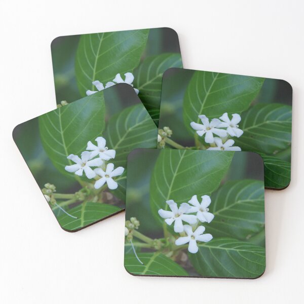 Item preview, Sea Randa Flowers Growing on Sulimon Island, Philippines designed and sold by The Botanical Jason.