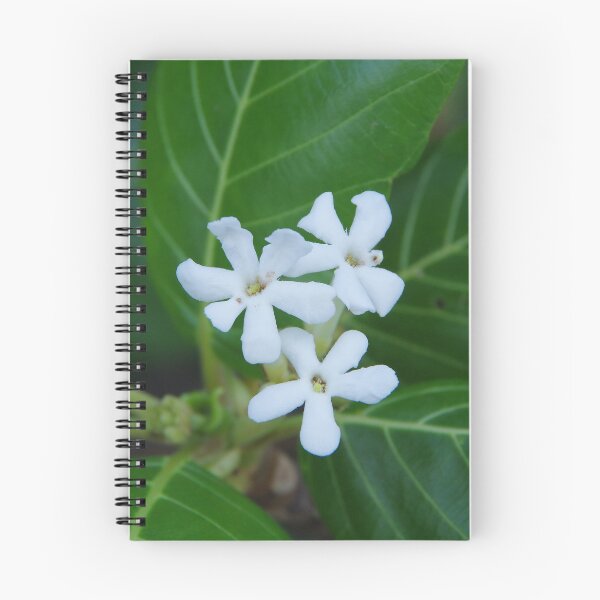 Item preview, Sea Randa Flowers Growing on Sulimon Island, Philippines designed and sold by The Botanical Jason.