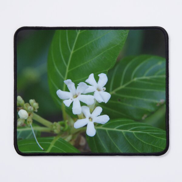 Item preview, Sea Randa Flowers Growing on Sulimon Island, Philippines designed and sold by The Botanical Jason.