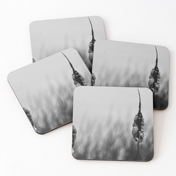 Item preview, Cattails in the winter  designed and sold by MaggieRan26.