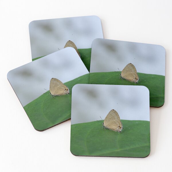 Item preview, Hairstreak Butterfly on a Leaf in Cebu, Philippines designed and sold by The Botanical Jason.