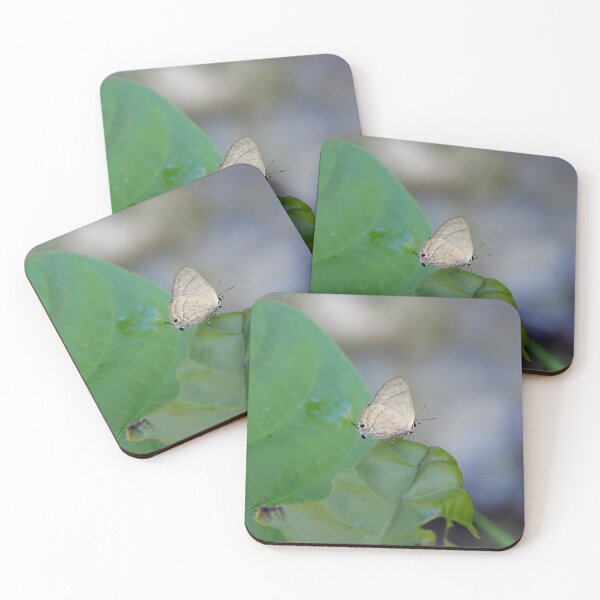 Item preview, Hairstreak Butterfly on a Leaf in Cebu, Philippines designed and sold by The Botanical Jason.