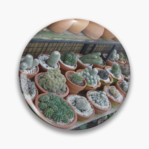 Item preview, Succulent Pots in Baguio City, Philippines. designed and sold by The Botanical Jason.