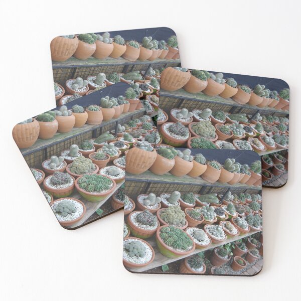Item preview, Succulent Pots in Baguio City, Philippines. designed and sold by The Botanical Jason.