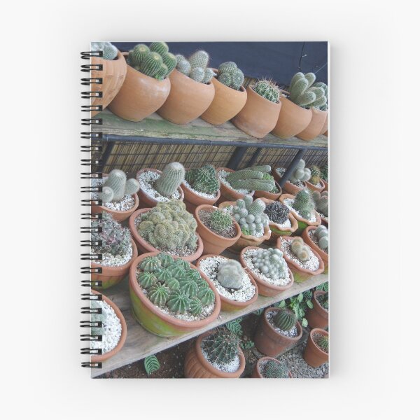 Item preview, Succulent Pots in Baguio City, Philippines. designed and sold by The Botanical Jason.
