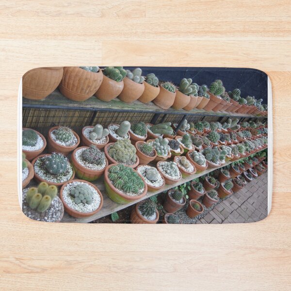 Item preview, Succulent Pots in Baguio City, Philippines. designed and sold by The Botanical Jason.