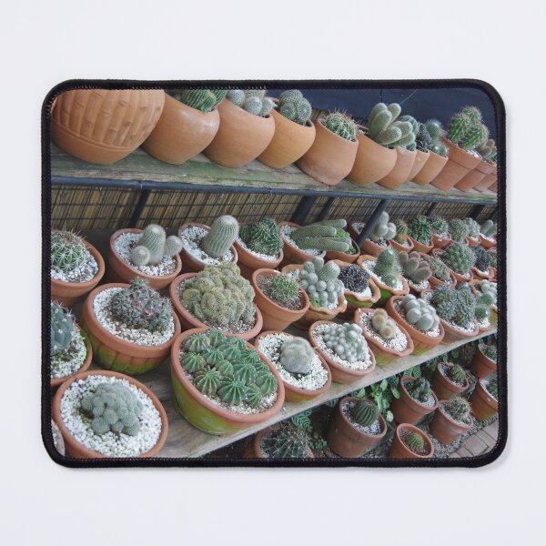 Item preview, Succulent Pots in Baguio City, Philippines. designed and sold by The Botanical Jason.