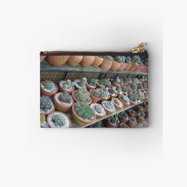 Item preview, Succulent Pots in Baguio City, Philippines. designed and sold by The Botanical Jason.