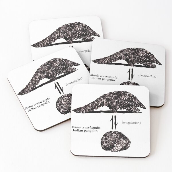Item preview, Manis crassicauda designed and sold by paleoforaging.