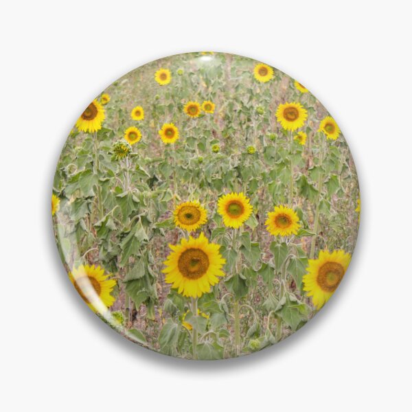 Artikelvorschau, Sonnenblumen entworfen und verkauft von Russell-art88.
