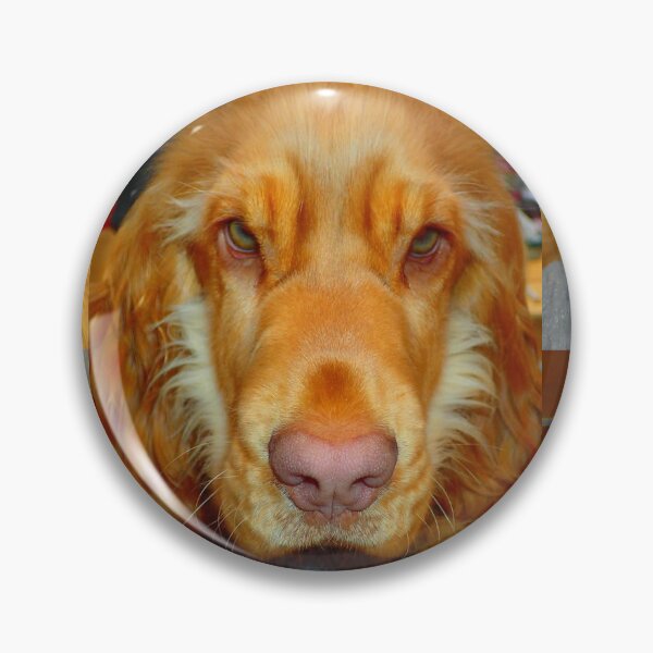 Item preview, Forever Friend designed and sold by Hazel Jones - Rhodes .
