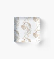 Stretched out fluffy cat Acrylic Block